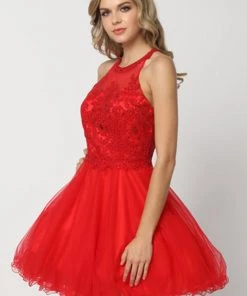 Lace Applique Short Halter Dress By Juliet 826