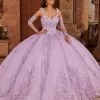 Mary's Bridal 3D Floral Quinceanera Dress By Alta Couture MQ3069 Quinceañera