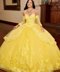 Mary's Bridal 3D Floral Quinceanera Dress By Alta Couture MQ3098