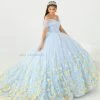 3D Floral Quinceanera Dress By House Of Wu 26013 QuinceaƱera 2 3D Floral Quinceanera Dress By House Of Wu 26013 QuinceaƱera