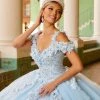 3D Floral Quinceanera Dress By House Of Wu 26991 Quinceañera