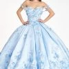 3D Floral Satin Ball Gown By Elizabeth K GL1961 1 3D Floral Satin Ball Gown By Elizabeth K GL1961
