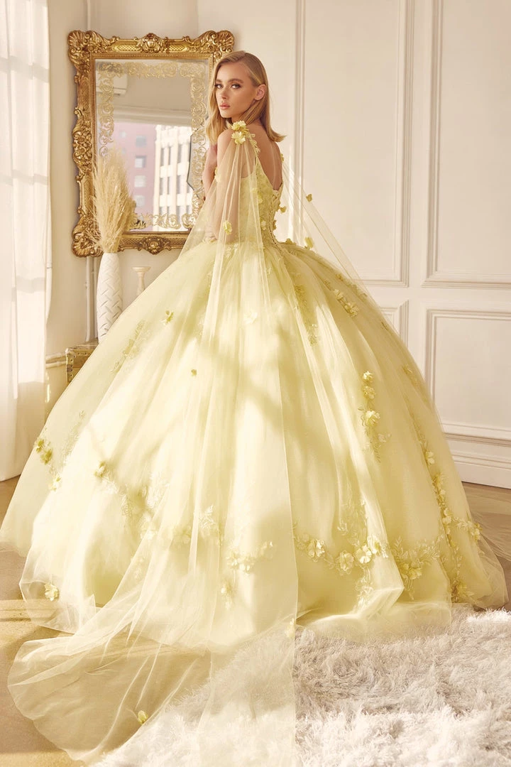 3D Floral Sleeveless Cape Ball Gown By Juliet 1436 7 3D Floral Sleeveless Cape Ball Gown By Juliet 1436