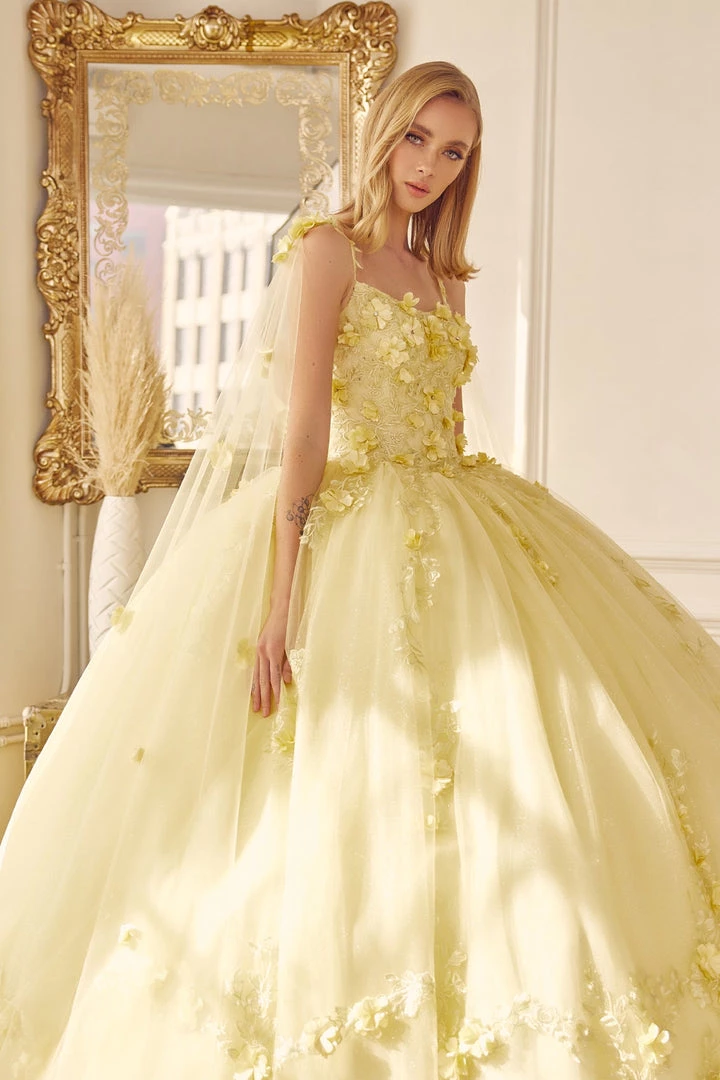 3D Floral Sleeveless Cape Ball Gown By Juliet 1436 8 3D Floral Sleeveless Cape Ball Gown By Juliet 1436