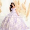 House Of Wu Fiesta Gowns Floral Applique Quinceanera Dress By Fiesta Gowns 56445