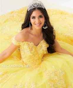 Quinceañera 3D Floral Quinceanera Dress By House Of Wu 26027
