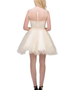 Applique Short Illusion Dress With Ruffled Skirt By Star Box 17308