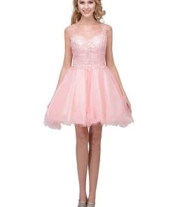 Applique Short Illusion Dress With Ruffled Skirt By Star Box 17308