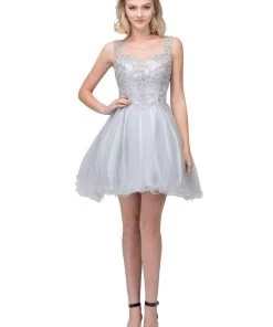 Applique Short Illusion Dress With Ruffled Skirt By Star Box 17308