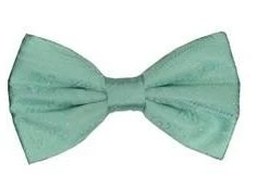 Vesuvio Napoli Aqua Paisley Bow Ties With Matching Pocket Squares