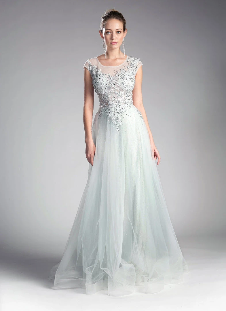 Beaded Cap Sleeve Tulle Gown By Cinderella Divine 8992 Prom 6 Beaded Cap Sleeve Tulle Gown By Cinderella Divine 8992 Prom