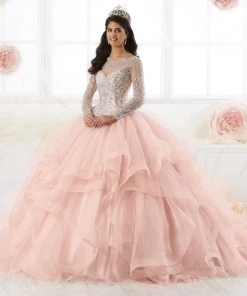 Quinceañera Long Sleeve Quinceanera Dress By House Of Wu 26904