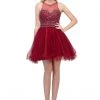 Beaded Short Illusion Dress With Ruffled Skirt By Star Box 17247 Prom