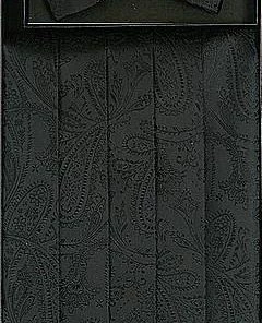 Vesuvio Napoli Black Paisley Cummerbund And Bow Tie Set Men