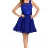 Prom Blue Short Sleeveless Lace Applique Dress By Poly USA