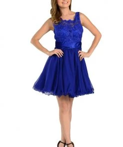 Prom Blue Short Sleeveless Lace Applique Dress By Poly USA