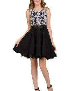 Prom Blue Short Sleeveless Lace Applique Dress By Poly USA