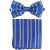 Vesuvio Napoli Men Blue Striped Bow Tie With Pocket Square (Pointed Tip)