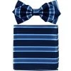 Vesuvio Napoli Blue Striped Bow Tie With Pocket Square (Pointed Tip)