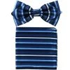 Vesuvio Napoli Men Blue Striped Bow Tie With Pocket Square (Pointed Tip)