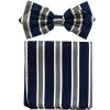 Vesuvio Napoli Blue/Gray Striped Bow Tie With Pocket Square (Pointed Tip) Men