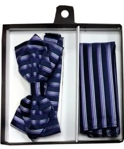 Vesuvio Napoli Men Blue/Purple Striped Bow Tie With Pocket Square (Pointed Tip)