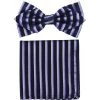 Vesuvio Napoli Men Blue/Purple Striped Bow Tie With Pocket Square (Pointed Tip)