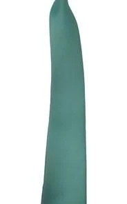 Vesuvio Napoli Boys Kids Boys Aqua Clip On Necktie