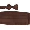 Vesuvio Napoli Kids Boys Brown Cummerbund And Bow Tie Set