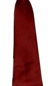 Vesuvio Napoli Boys Kids Boys Burgundy Clip On Necktie