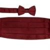 Vesuvio Napoli Boys Burgundy Cummerbund And Bow Tie Set