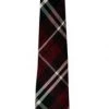 Vesuvio Napoli Boys Boys Burgundy Plaid Clip On Necktie Kids