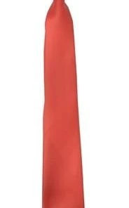 Vesuvio Napoli Boys Kids Boys Coral Clip On Necktie