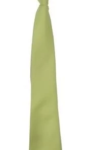 Vesuvio Napoli Boys Kids Boys Mint Green Clip On Necktie