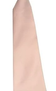Vesuvio Napoli Boys Boys Pink Clip On Necktie