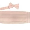 Vesuvio Napoli Kids Boys Pink Cummerbund And Bow Tie Set