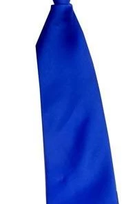 Vesuvio Napoli Boys Boys Royal Blue Clip On Necktie Kids