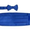 Vesuvio Napoli Kids Boys Royal Blue Cummerbund And Bow Tie Set