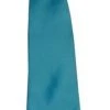 Vesuvio Napoli Boys Boys Turquoise Clip On Necktie