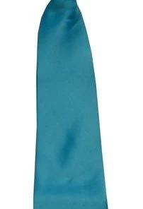 Vesuvio Napoli Boys Boys Turquoise Clip On Necktie