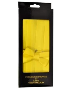 Vesuvio Napoli Boys Yellow Cummerbund And Bow Tie Set Kids