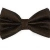 Vesuvio Napoli Brown Paisley Bow Ties With Matching Pocket Squares