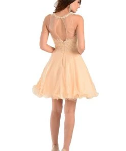 Champagne Short Chiffon Dress With Lace Applique Top By Poly USA