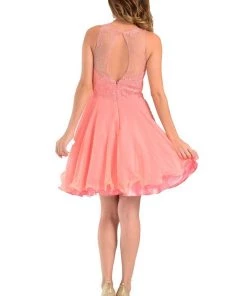 Champagne Short Chiffon Dress With Lace Applique Top By Poly USA