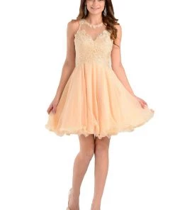 Champagne Short Chiffon Dress With Lace Applique Top By Poly USA