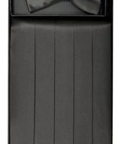 Vesuvio Napoli Men Charcoal Silk Satin Cummerbund And Bow Tie Set