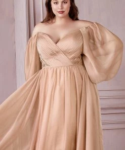 Curve Long Sleeve Chiffon Gown By Cinderella Divine CD243C New