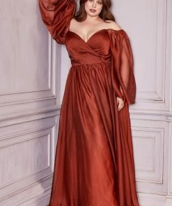 Curve Long Sleeve Chiffon Gown By Cinderella Divine CD243C New