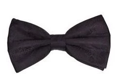 Vesuvio Napoli Eggplant Paisley Bow Ties With Matching Pocket Squares