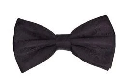 Vesuvio Napoli Eggplant Paisley Bow Ties With Matching Pocket Squares 3 Vesuvio Napoli Eggplant Paisley Bow Ties With Matching Pocket Squares